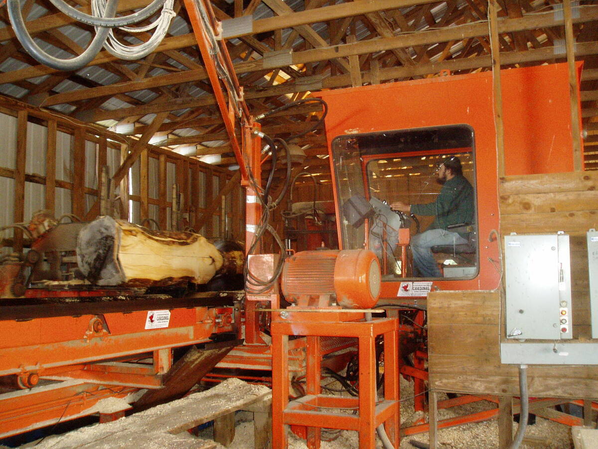 Inside a working sawmill
